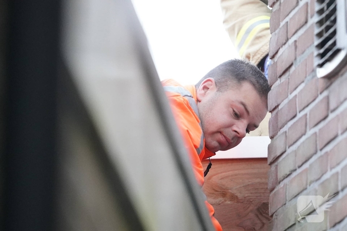 Brandweer in actie voor beknelde kat