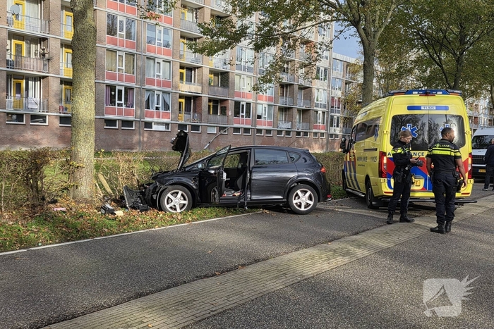 Bestuurder botst frontaal tegen boom