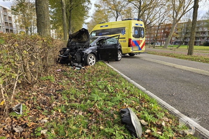 Bestuurder botst frontaal tegen boom