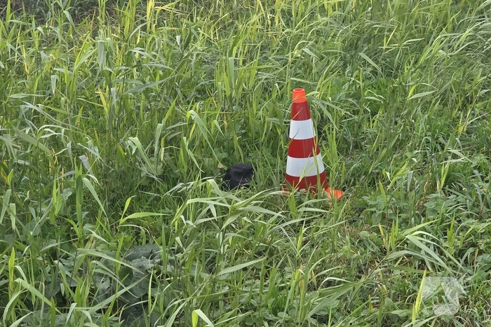Grote zoekactie na melding te water
