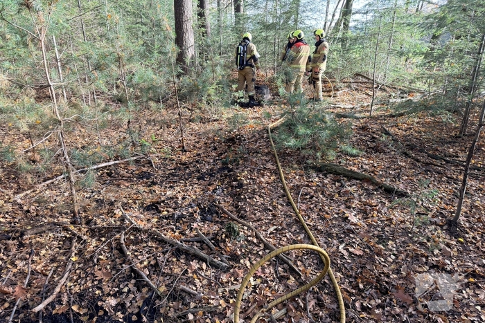 Brand verwoest bosgebied