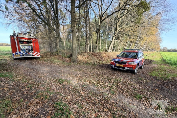 Brand verwoest bosgebied