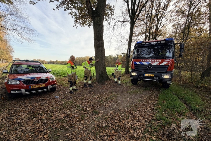 Brand verwoest bosgebied