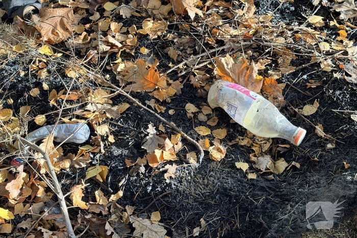 Brand verwoest bosgebied