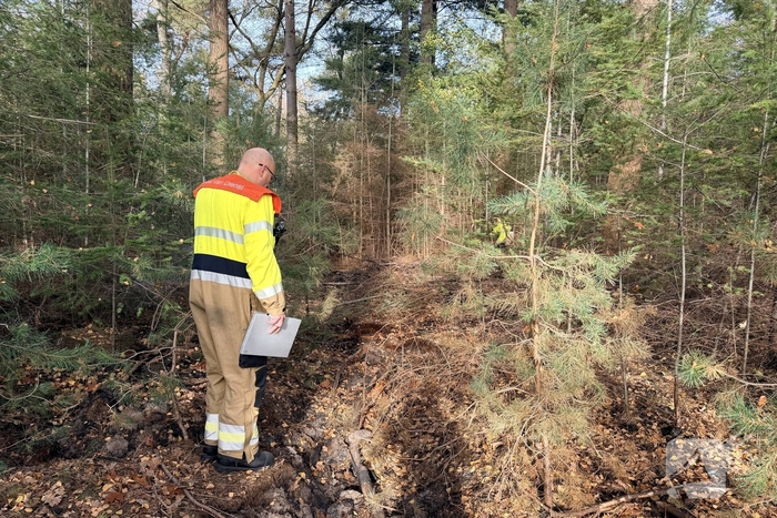 Brand verwoest bosgebied