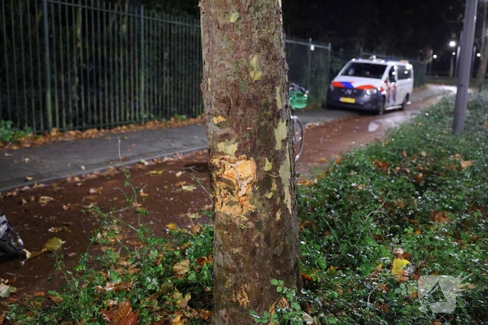 Auto botst tegen boom na uit de bocht vliegen