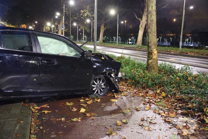Auto botst tegen boom na uit de bocht vliegen