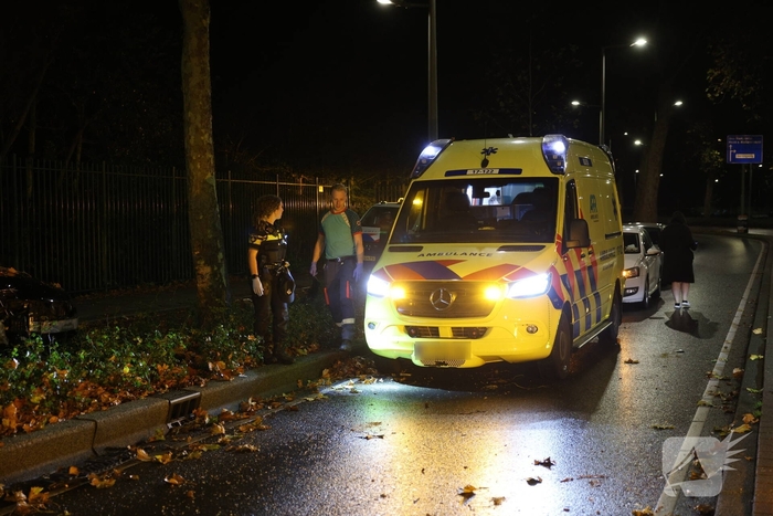 Auto botst tegen boom na uit de bocht vliegen