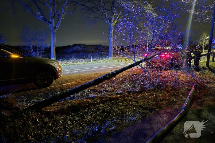 Inhaalactie eindigt in botsing met boom