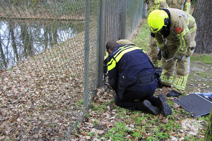 Brandweer en politie redden ree uit poel