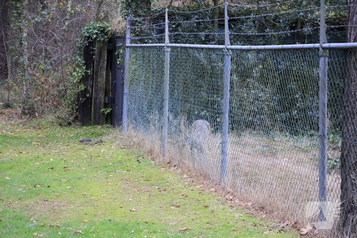 Brandweer en politie redden ree uit poel