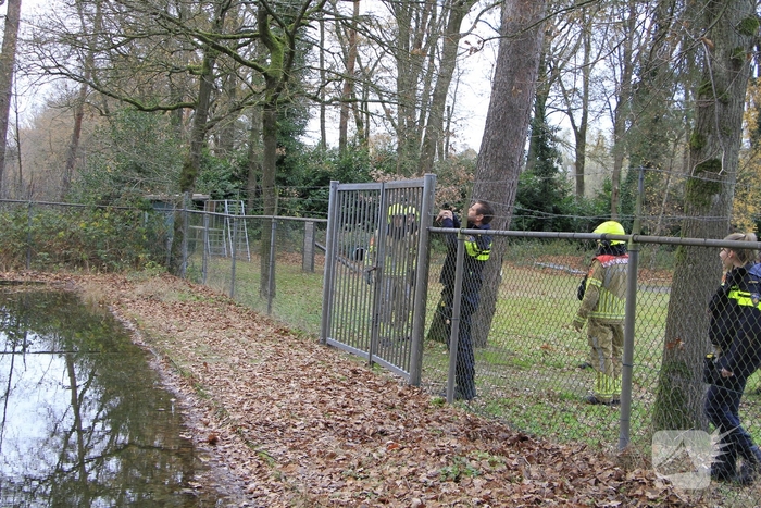 Brandweer en politie redden ree uit poel