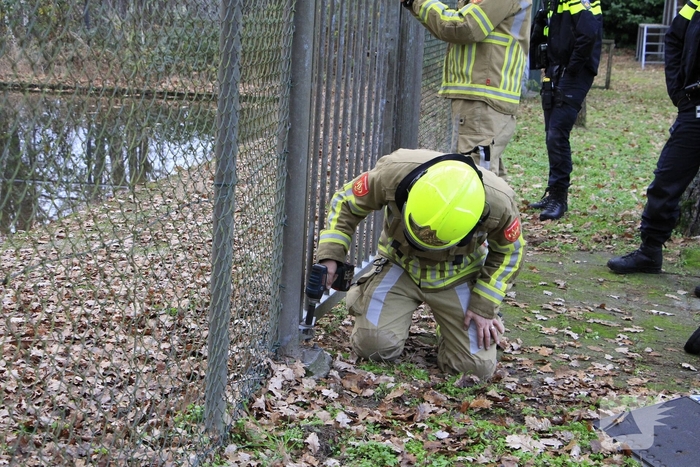Brandweer en politie redden ree uit poel