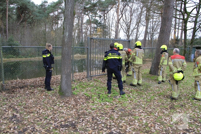 Brandweer en politie redden ree uit poel