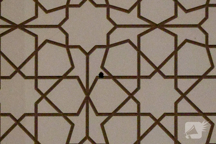 Schietincident bij partycentrum leidt tot ontruiming