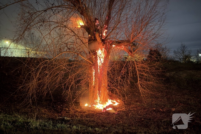 Buitenbrand verwoest boom
