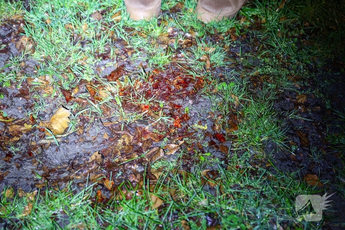 Fietser vliegt door rood bij Pompenburg en verliest tanden na harde botsing