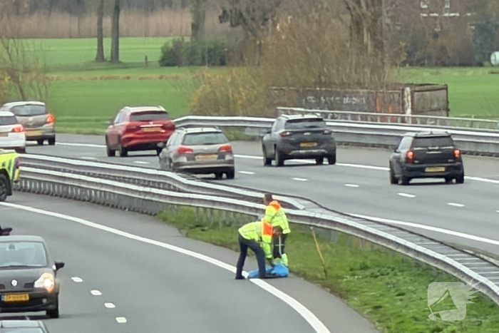 Hond overleden na aanrijding met auto
