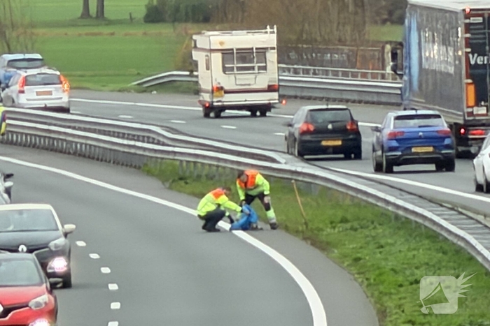 Hond overleden na aanrijding met auto