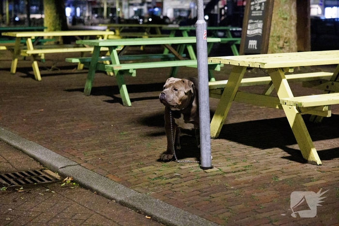 Steekincident leidt tot ziekenhuisopname