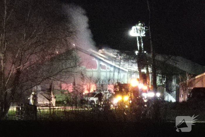 Paarden gered na brand in loods