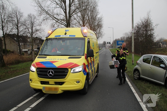 Zware aanrijding tussen twee auto's zorgt voor schade