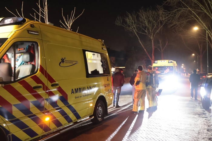 Auto botst tegen boom in de nacht