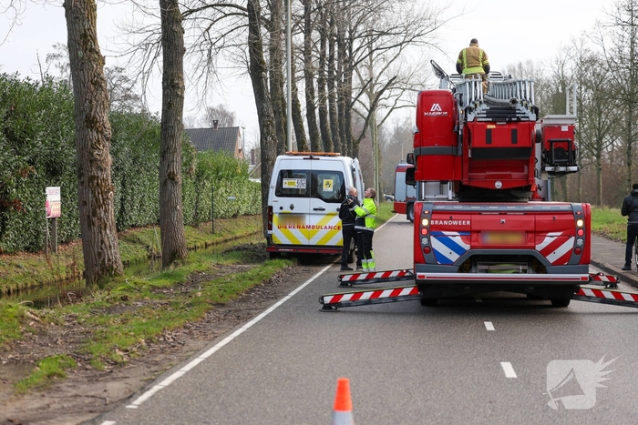 Kattenredding leidt tot tijdelijke verkeershinder