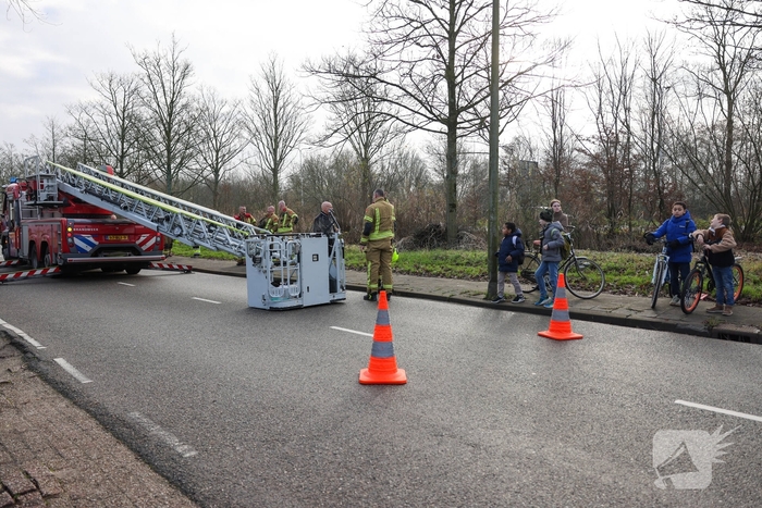 Kattenredding leidt tot tijdelijke verkeershinder