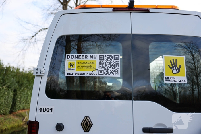 Kattenredding leidt tot tijdelijke verkeershinder