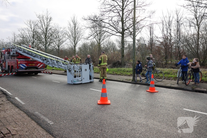 Kattenredding leidt tot tijdelijke verkeershinder