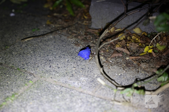 Explosie veroorzaakt schade aan deur