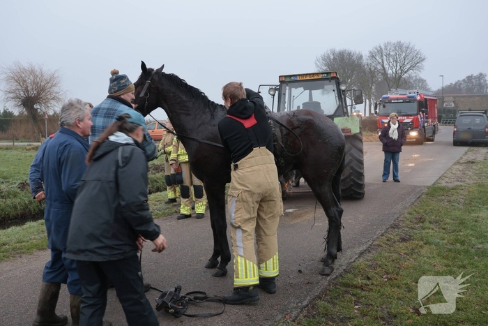 Paard valt in sloot tijdens oefening