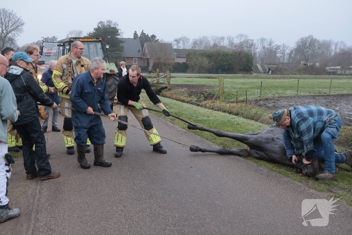 Paard valt in sloot tijdens oefening