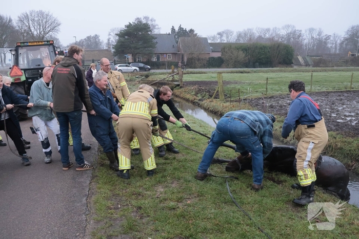 Paard valt in sloot tijdens oefening