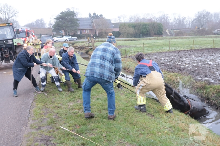 Paard valt in sloot tijdens oefening