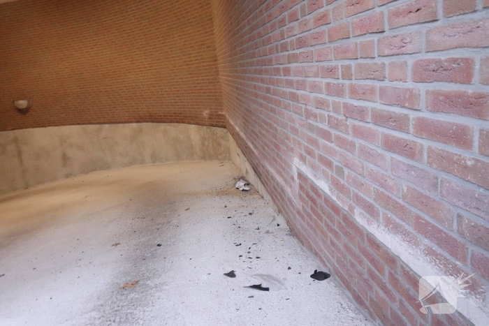 Bestuurder verliest controle over auto