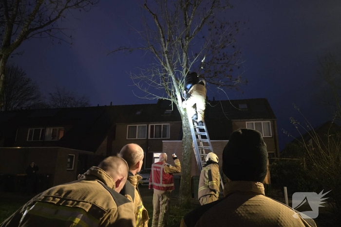 Jongen vast in boom tijdens drone-redding
