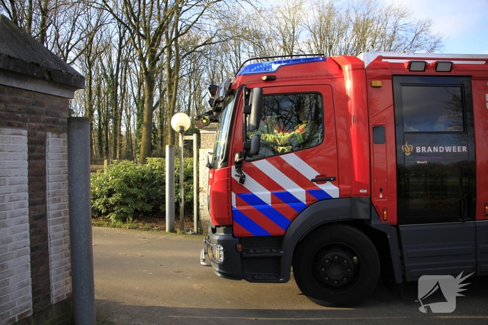 Brandweer redt kat uit boom