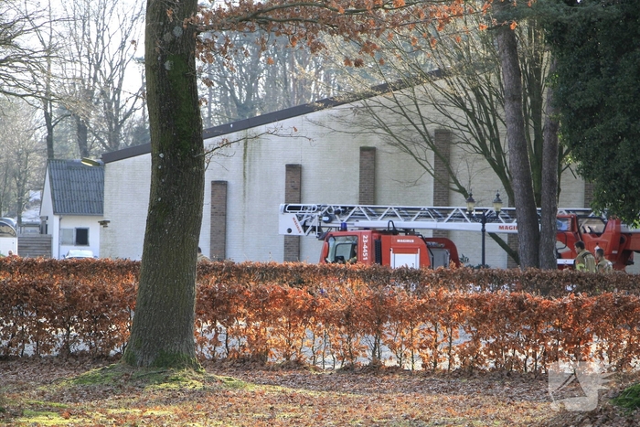 Brandweer redt kat uit boom