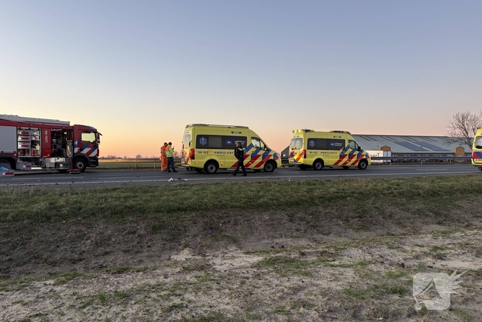 Verkeersongeval door loslopende hond op snelweg