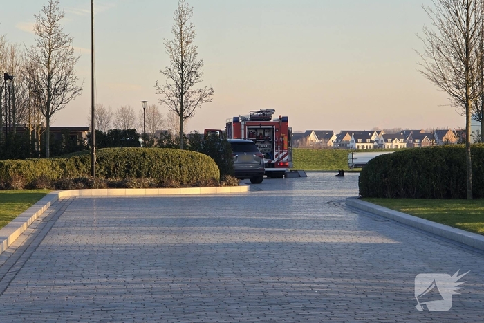 Schotse Hooglander in nood na doorzakken ijs