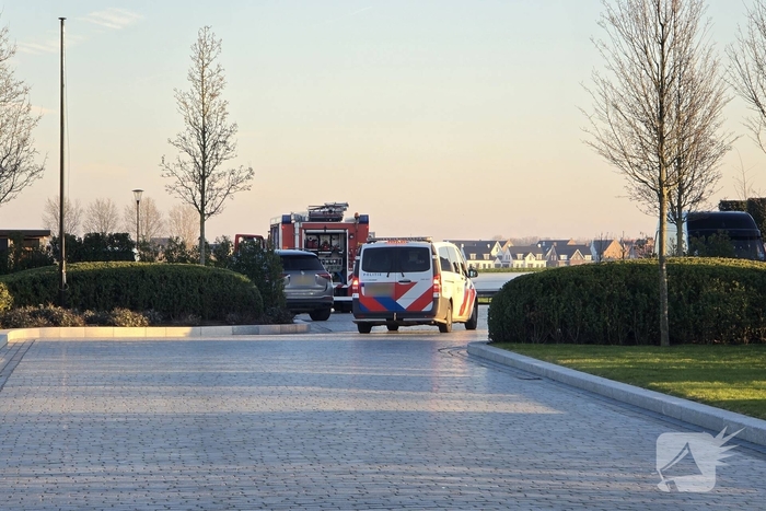 Schotse Hooglander in nood na doorzakken ijs