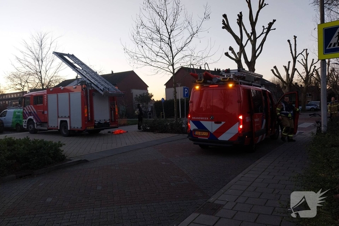 Eend vast op ijs krijgt hulp