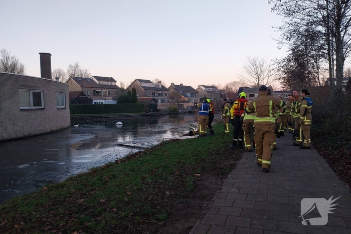 Eend vast op ijs krijgt hulp