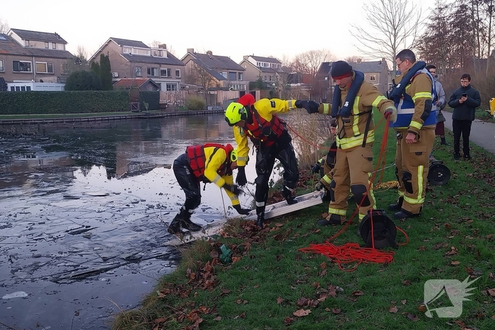 Eend vast op ijs krijgt hulp