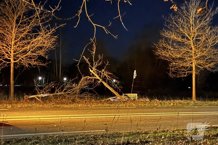 Gewonde en forse schade aan boom, paal en auto