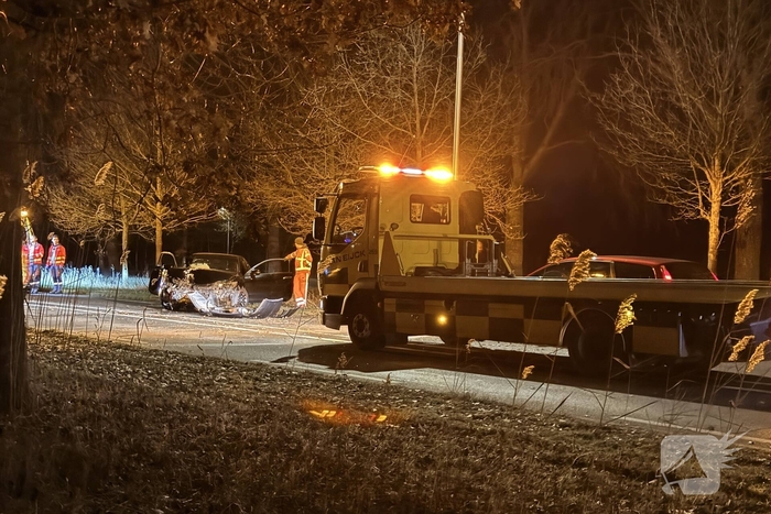 Gewonde en forse schade aan boom, paal en auto