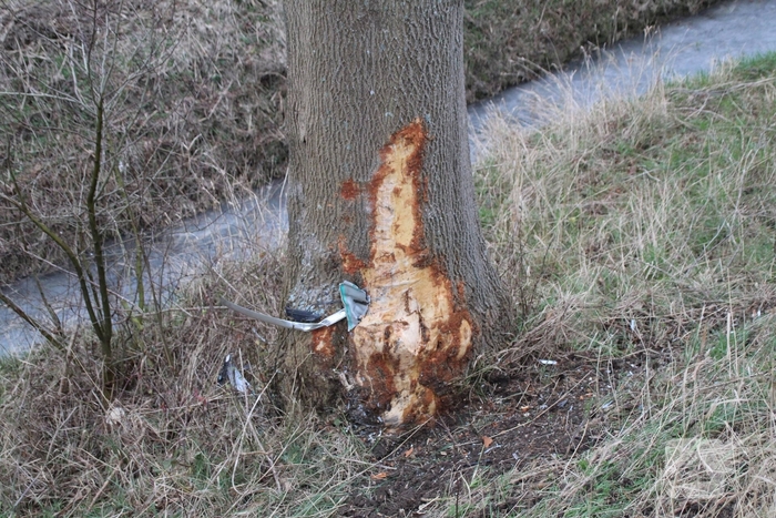 Zwaargewonde bij ongeval met auto tegen boom