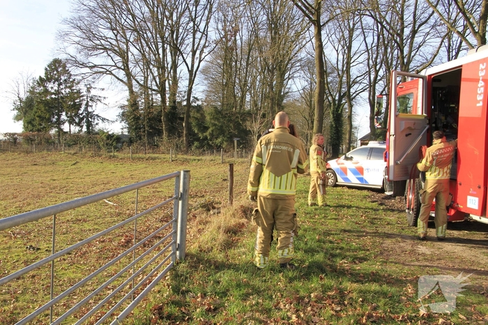 Stier onderkoeld uit ijs gehaald door brandweerlieden